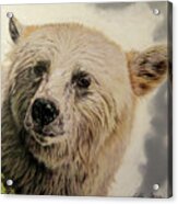 Spirit Bear Acrylic Print