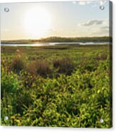Spring Afternoon In The Marsh Panorama Acrylic Print