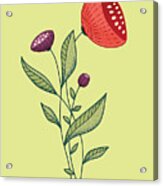 Spring Flowers Abstract Botanical Line Art Acrylic Print