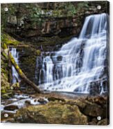 Spring In The Cherokee National Forest Acrylic Print
