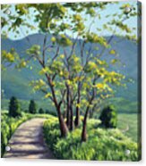 Spring Valley Trail Acrylic Print