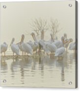 Squadron In The Fog Acrylic Print