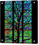 Stained Glass Silhouette Acrylic Print