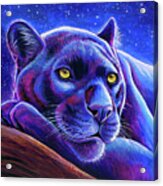 Stargazing - Colorful Black Leopard Acrylic Print