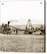 Steam Tractor, Hay Wagon And Steam Threshing Machine Salinas Valley Acrylic Print