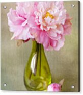 Still Life With Peonies Acrylic Print