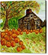 Stone Cabin Pumpkin Patch Acrylic Print