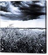 Storm Cloud Acrylic Print