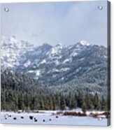 Storm In Yellowstone Acrylic Print