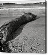 Stranded Beast On Popham Beach Acrylic Print