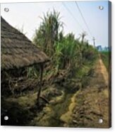 Straw Hut Acrylic Print