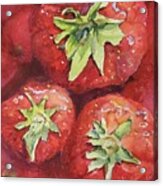 Strawberries Acrylic Print