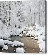 Stream Near Morzine Acrylic Print