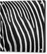 Stripes Acrylic Print