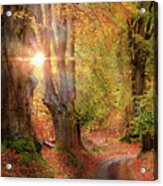 Stunning Autumn Forest Road At Sunrise In Norfolk Acrylic Print