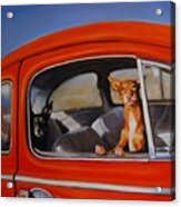 If We're Such Good Boys Why Did You Leave Us In The Car Acrylic Print