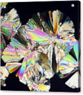 Sugar Crystals Micrograph In Abstract Pattern Acrylic Print