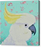 Sulphur Crested Cockatoo Acrylic Print