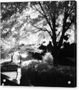 Summer At Quiet Waters No.7 - Infrared Black And White Film Photograph Acrylic Print