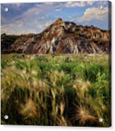 Summer Evening In The Badlands Acrylic Print