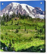 Summer In The High Country Acrylic Print