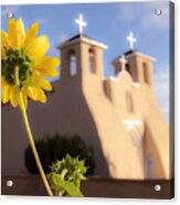 Sunflower And The St Francis De Asis Church Acrylic Print