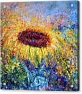 Sunflower In The Swirls Of Sunshine Acrylic Print