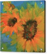 Sunflower Love Acrylic Print