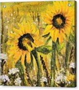 Sunflowers Acrylic Print