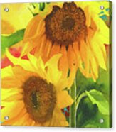 Sunflowers For Ukraine Acrylic Print