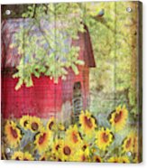 Sunflowers In The Garden With Wood Textures Acrylic Print