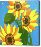 Sunflowers Three Acrylic Print