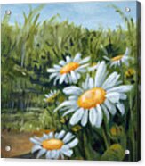 Sunny Side Of Life - Daisies Painting Acrylic Print