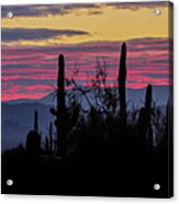 Sunrise - Saguaro National Park Acrylic Print