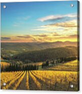 Sunset Over The Vineyards Of Radda In Chianti Acrylic Print
