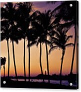 Sunset Palms At Jupiter Inlet Acrylic Print