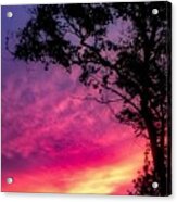 Sunset With A Tree Acrylic Print