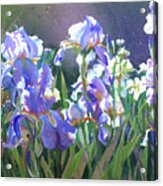 Sunstruck Iris Acrylic Print