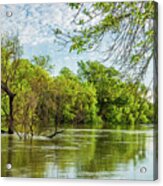 Surrounded, Flood Waters In The Trinity River Acrylic Print