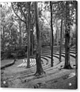 Swarthmore College Scott Amphitheater Acrylic Print