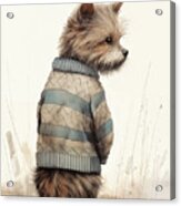 Sweater Dog Ii Acrylic Print