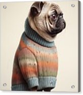 Sweater Pug Acrylic Print