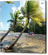 Swinging Under The Palm Trees, Loiza, Puerto Rico Acrylic Print