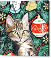Tabby Christmas Kitten Acrylic Print