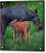 Table For Two Acrylic Print