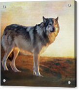 Takaya The Sea Wolf Acrylic Print