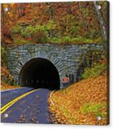 Tanbark Ridge Tunnel Acrylic Print