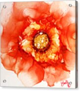 Tangerine Wild Rose Acrylic Print