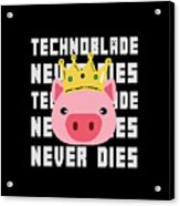 Technoblade Merch Technoblade Never Dies Hoodie - Hnatee