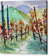 Temecula Vineyard Landscape Acrylic Print